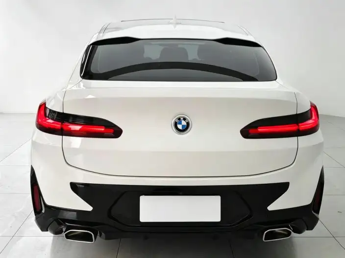 BMW X4 2022 Model xDrive 25i M Sports Set – фото 6