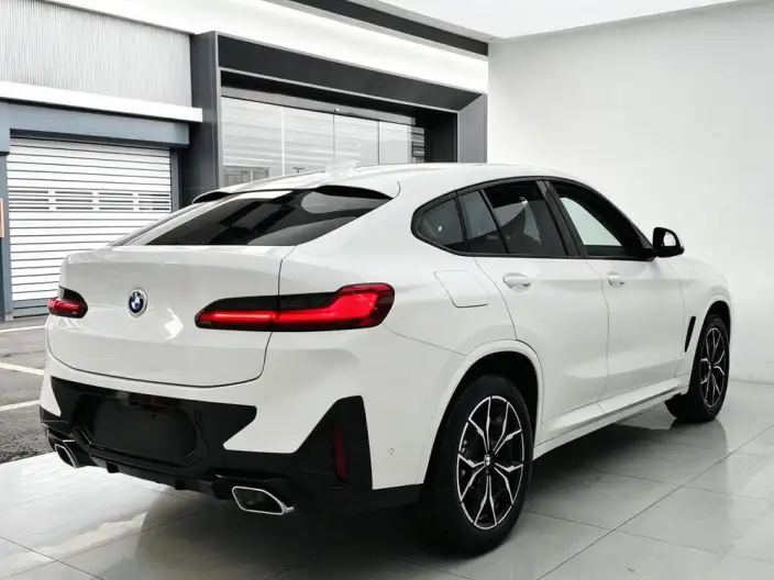 BMW X4 2022 Model xDrive 25i M Sports Set – фото 7
