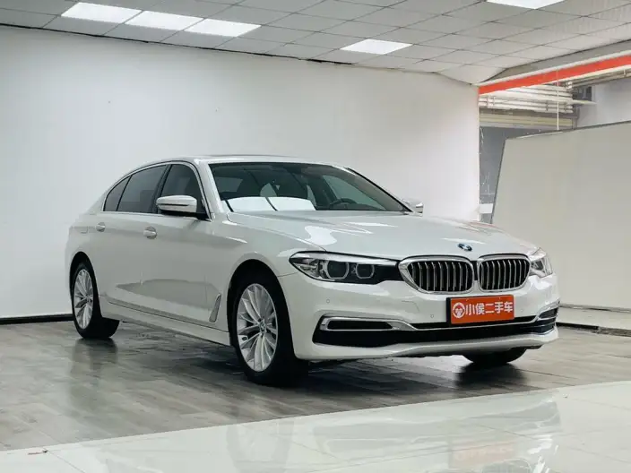 BMW 5 Series 2020 Model 525Li Luxury Set – фото 3