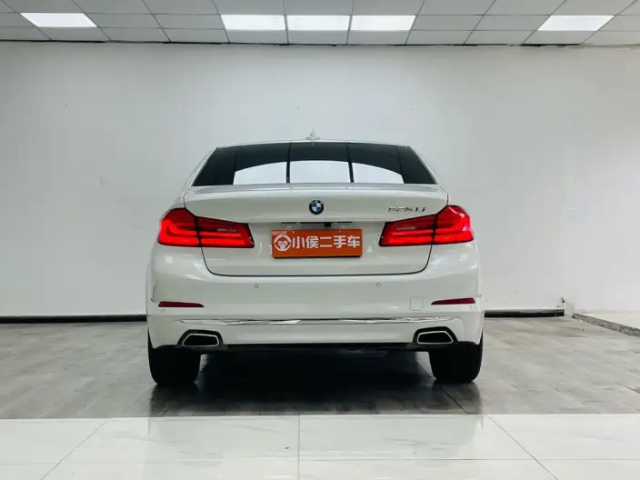 BMW 5 Series 2020 Model 525Li Luxury Set – фото 5