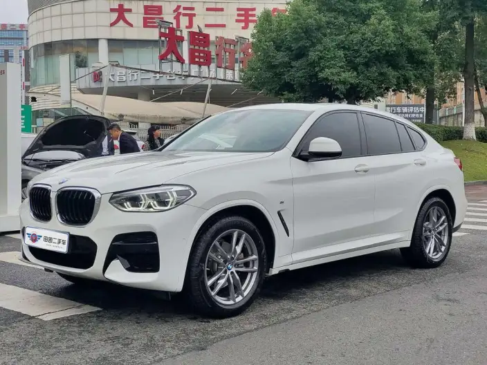 BMW X4 2020 Model xDrive25i M Sports Set – фото 1