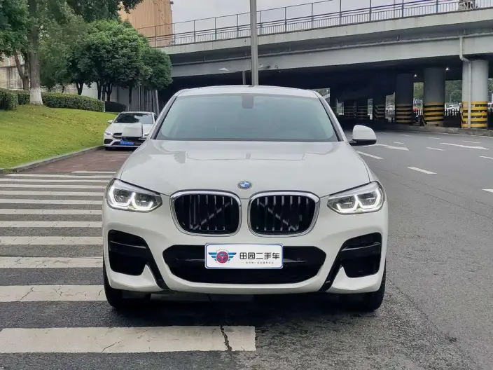 BMW X4 2020 Model xDrive25i M Sports Set – фото 2