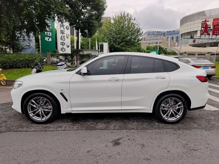 BMW X4 2020 Model xDrive25i M Sports Set – фото 3