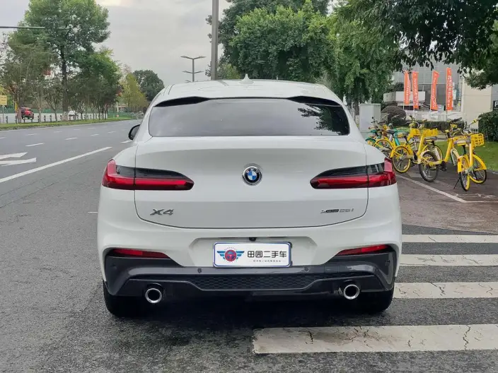 BMW X4 2020 Model xDrive25i M Sports Set – фото 5