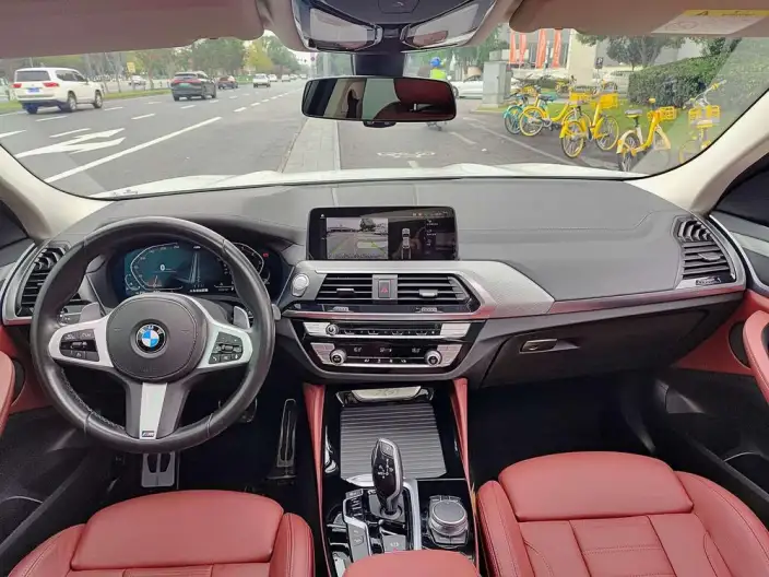 BMW X4 2020 Model xDrive25i M Sports Set – фото 7