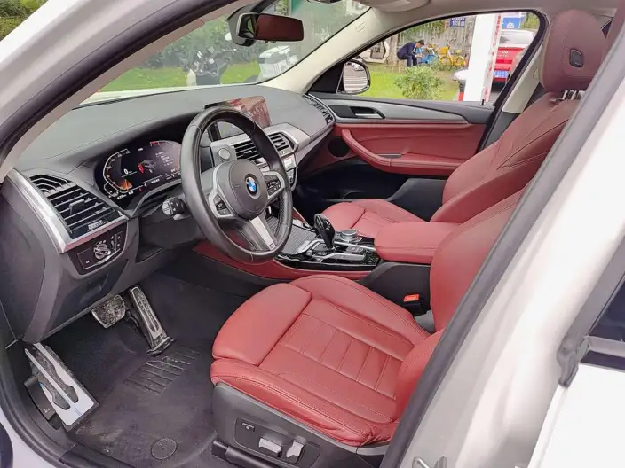 BMW X4 2020 Model xDrive25i M Sports Set – фото 8