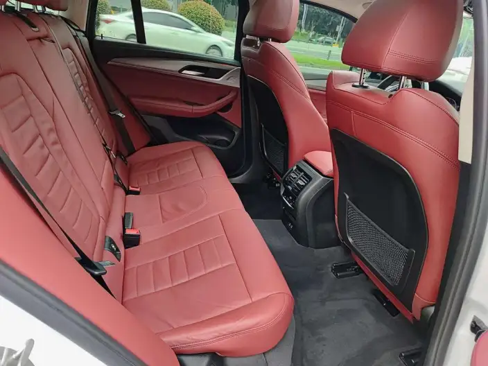 BMW X4 2020 Model xDrive25i M Sports Set – фото 9