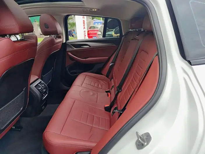 BMW X4 2020 Model xDrive25i M Sports Set – фото 10