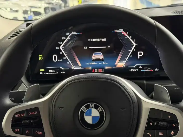 BMW 3 Series 2023 Model 325Li M Sports Set – фото 5