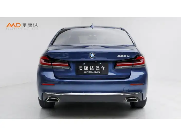 BMW 5 Series 2021 Model Facelift 530Li Leading Model Luxury Set – фото 3