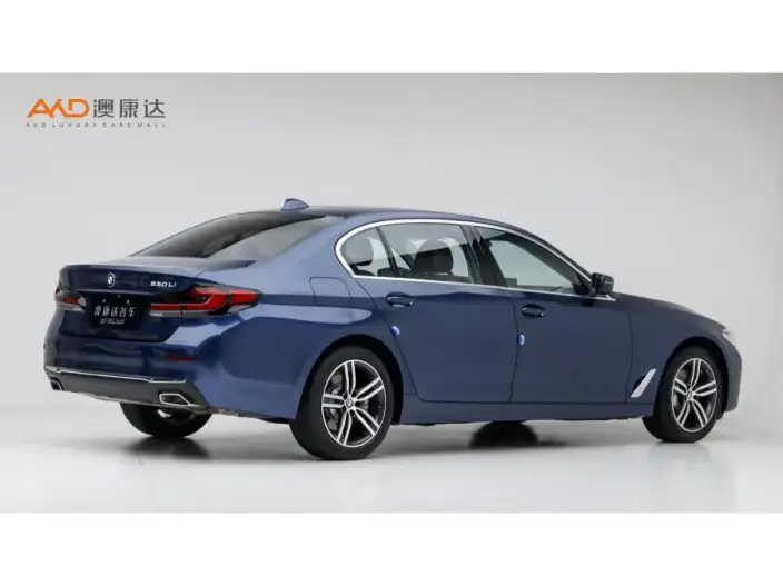 BMW 5 Series 2021 Model Facelift 530Li Leading Model Luxury Set – фото 4
