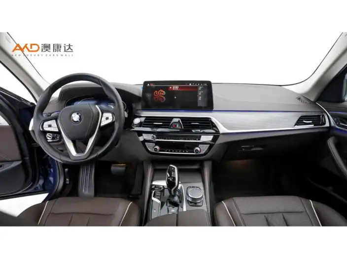 BMW 5 Series 2021 Model Facelift 530Li Leading Model Luxury Set – фото 6
