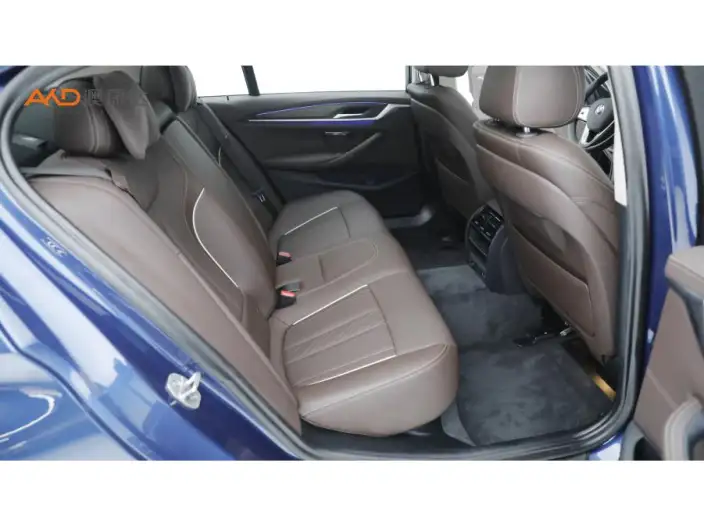 BMW 5 Series 2021 Model Facelift 530Li Leading Model Luxury Set – фото 10