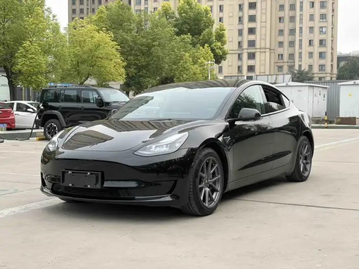 Model 3 2021 Model Standard Battery Life Rear Drive L Class Edition