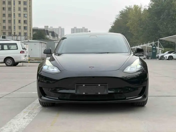Model 3 2021 Model Standard Battery Life Rear Drive L Class Edition