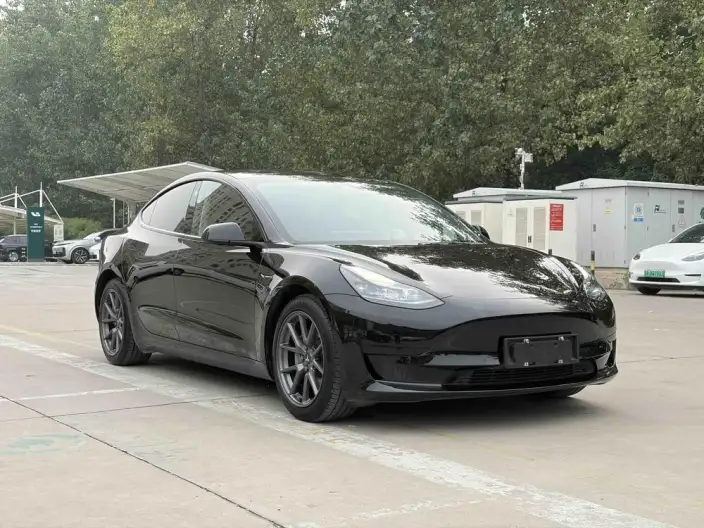 Model 3 2021 Model Standard Battery Life Rear Drive L Class Edition