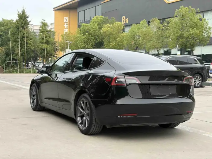 Model 3 2021 Model Standard Battery Life Rear Drive L Class Edition