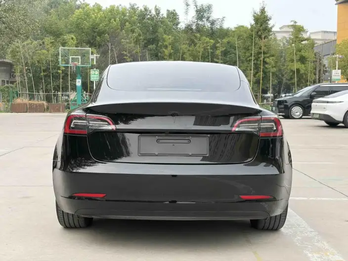 Model 3 2021 Model Standard Battery Life Rear Drive L Class Edition – фото 5