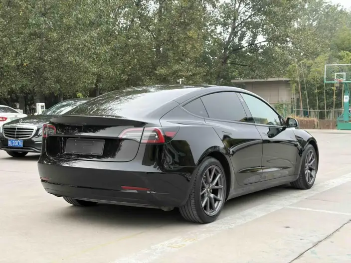 Model 3 2021 Model Standard Battery Life Rear Drive L Class Edition – фото 6