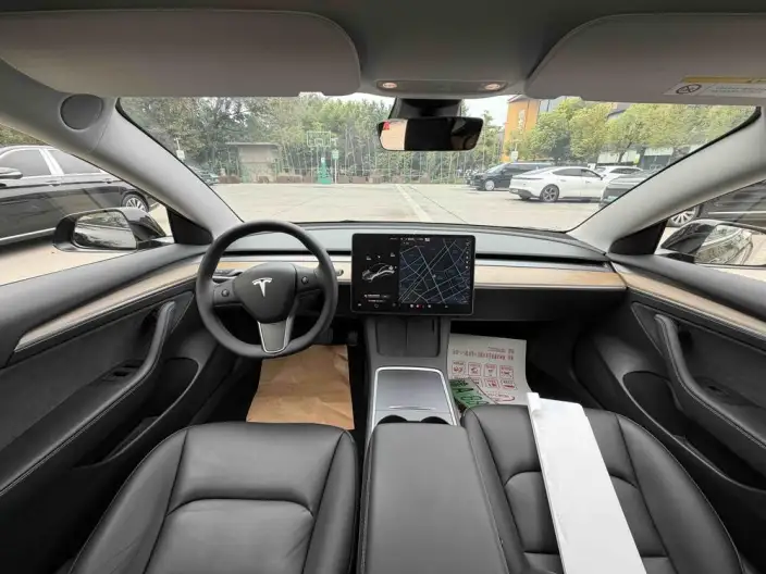 Model 3 2021 Model Standard Battery Life Rear Drive L Class Edition – фото 10