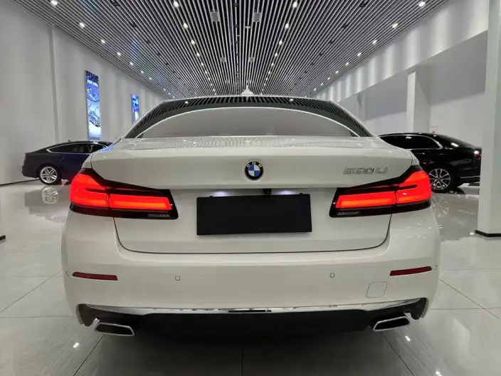 BMW 5 Series 2021 Model Facelift 530Li Exclusive Model Luxury Set – фото 6