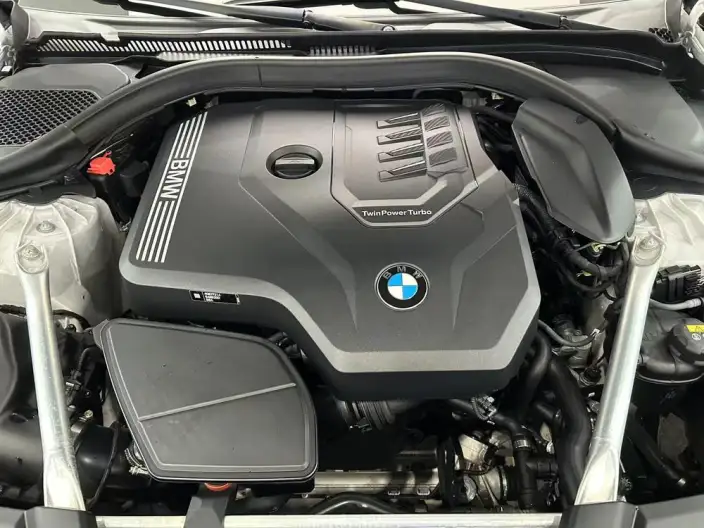 BMW 5 Series 2021 Model Facelift 530Li Exclusive Model Luxury Set – фото 10