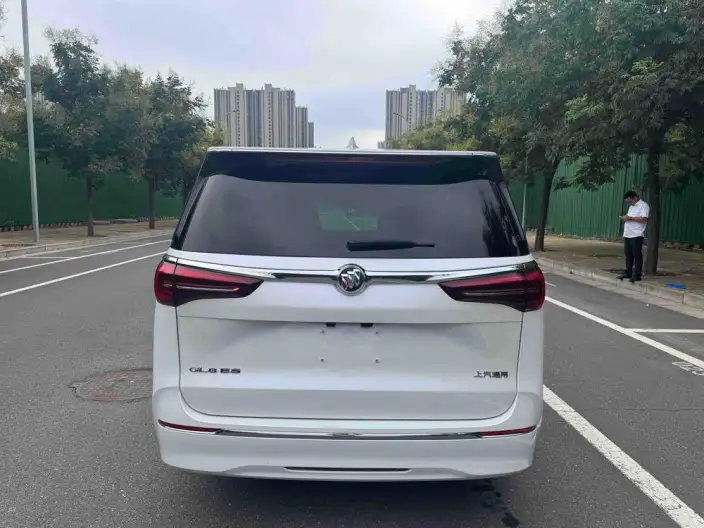 Buick GL8 2023 Model ES Luzun 2.0T Exclusive Model – фото 6