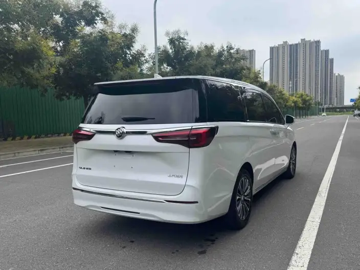 Buick GL8 2023 Model ES Luzun 2.0T Exclusive Model – фото 7
