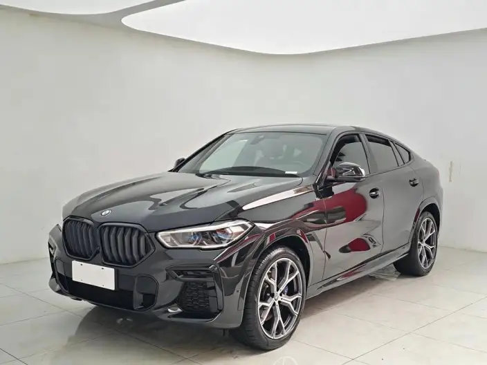 BMW X6 2022 Model xDrive40i M Sports Set – фото 1