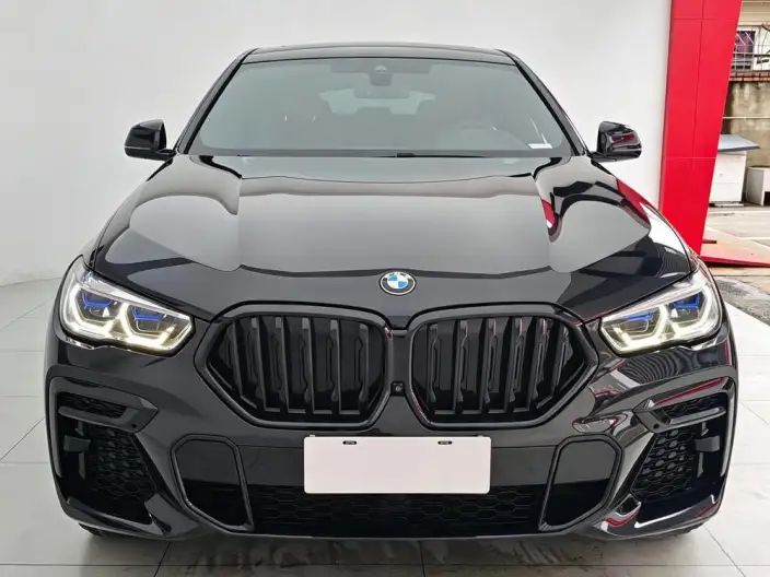 BMW X6 2022 Model xDrive40i M Sports Set – фото 2