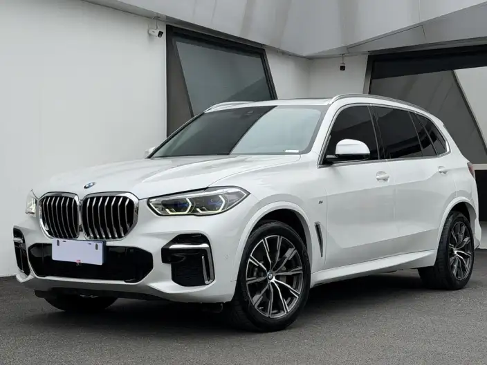 BMW X5 2022 Model xDrive 30Li Exclusive Model M Sports Set – фото 1
