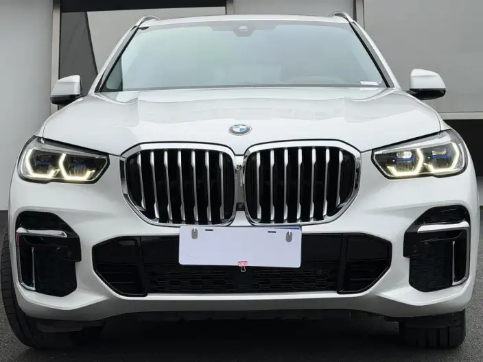 BMW X5 2022 Model xDrive 30Li Exclusive Model M Sports Set – фото 5