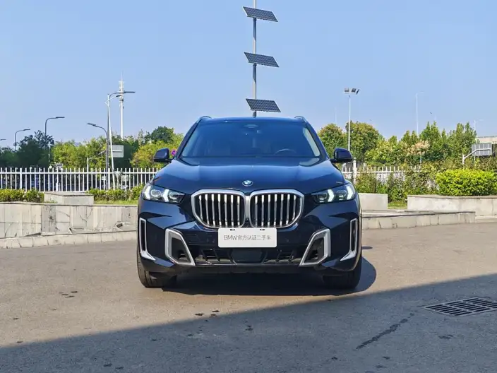 BMW X5 2023 Model xDrive30Li M Sports Set – фото 2