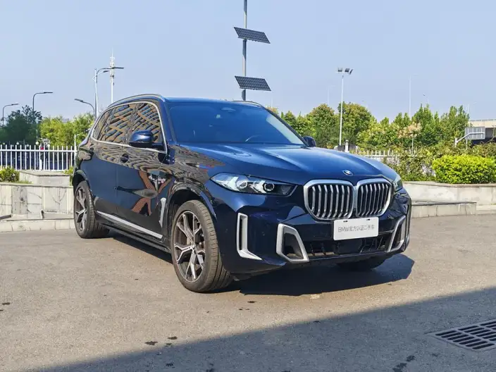BMW X5 2023 Model xDrive30Li M Sports Set – фото 3