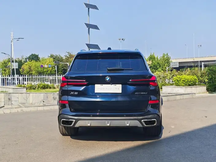 BMW X5 2023 Model xDrive30Li M Sports Set – фото 6
