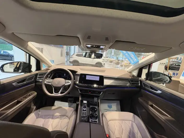 Viloran 2024 Model 380TSI Premium Edition – фото 9