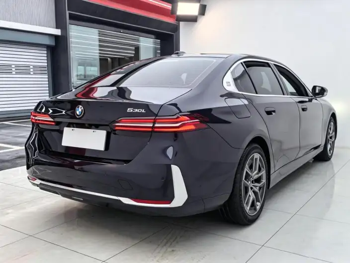 BMW 5 Series 2024 Model 530Li Leading Model Luxury Set – фото 5
