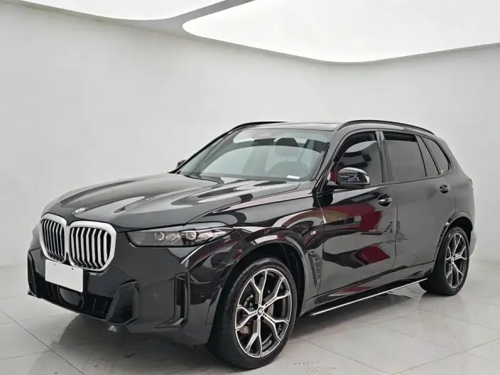 BMW X5 2023 Model xDrive30Li Exclusive Model M Sports Night Set – фото 1