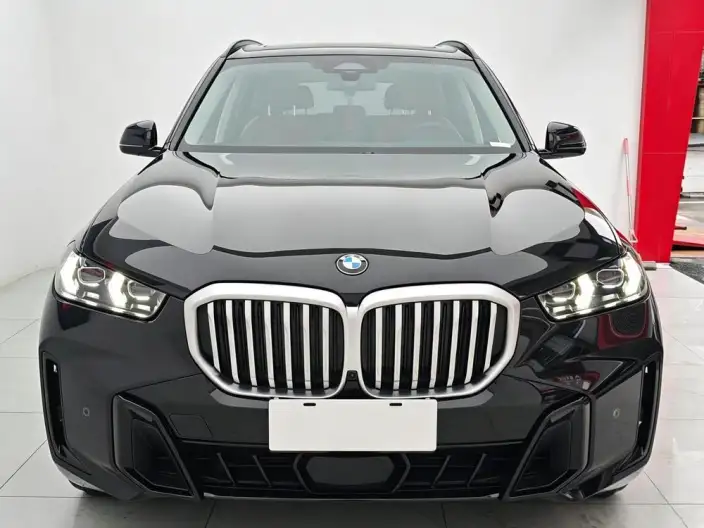 BMW X5 2023 Model xDrive30Li Exclusive Model M Sports Night Set – фото 2