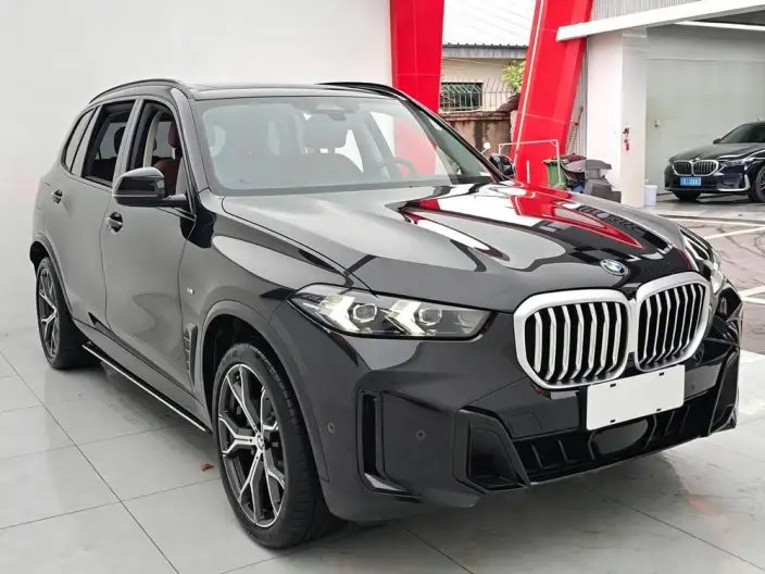 BMW X5 2023 Model xDrive30Li Exclusive Model M Sports Night Set – фото 3