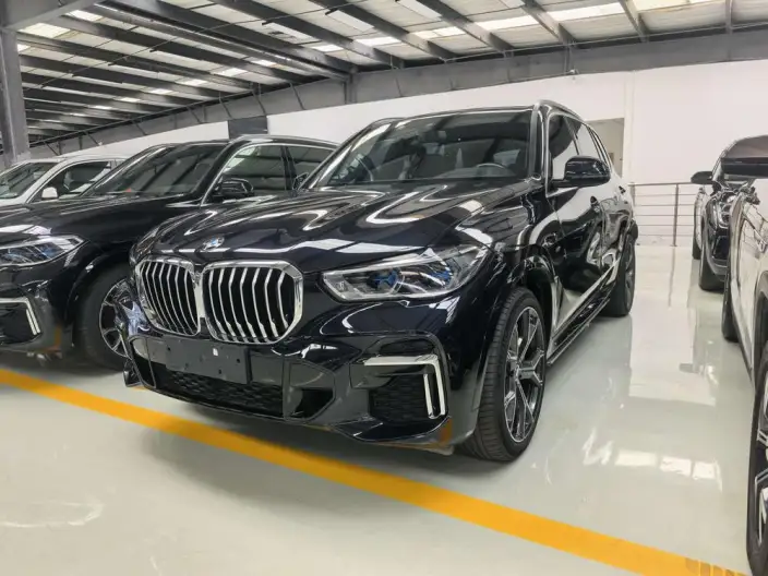 BMW X5 2022 Model Facelift xDrive 40Li M Sports Set – фото 1