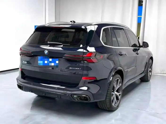 BMW X5 2023 Model xDrive30Li Exclusive Model M Sports Night Set – фото 6
