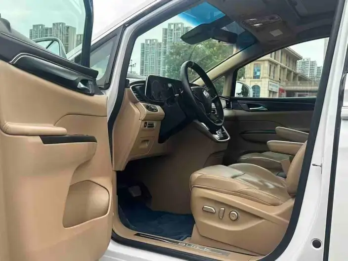Buick GL8 2021 Model ES Luzun 653T Flagship Model – фото 7