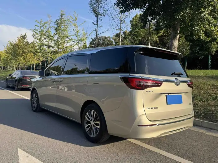 Buick GL8 2020 Model ES Luzun 653T Comfort Model