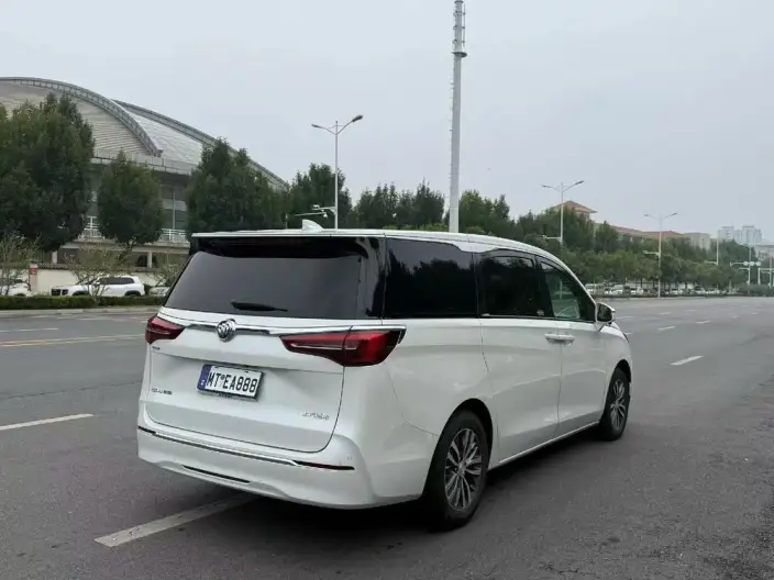 Buick GL8 2020 Model ES Luzun 653T Comfort Model – фото 6