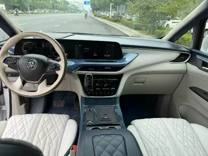 Buick GL8 2020 Model ES Luzun 653T Comfort Model – фото 7