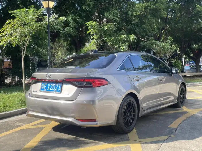 Asia Lion 2021 Model 2.0L Enterprising Edition – фото 6