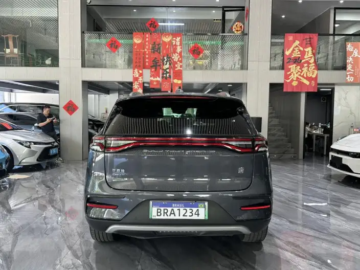 BYD Tang DM 2022 Model DM-i 252KM Exclusive Model – фото 6