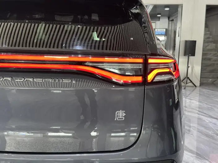 BYD Tang DM 2022 Model DM-i 252KM Exclusive Model – фото 10