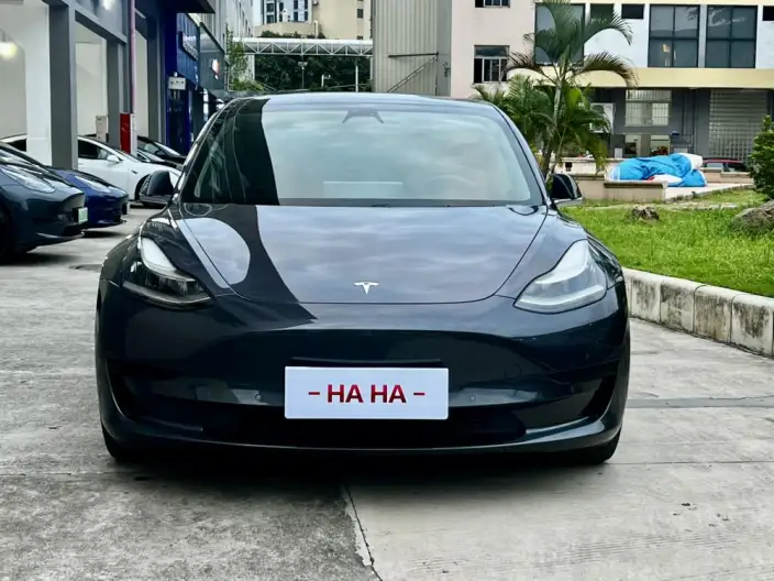 Model 3 2020 Model Facelift Standard Battery Life Rear Drive L Class Edition